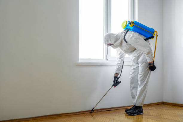 Best Affordable Pest Control Services  in Milford, OH